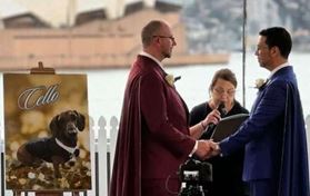 Marry & Celebrate - Celebrant & MC